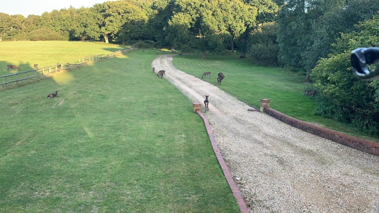 Yards Brake On 40 Acres Of Private Land Villa Langton Matravers Exterior foto